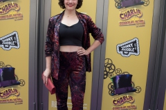 Charlie-and-the-Chocolate-Factory-premiere-10