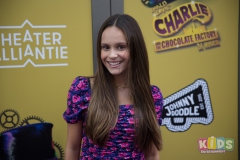 Charlie-and-the-Chocolate-Factory-premiere-41