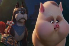 DC Club van Super-Pets