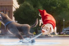 DC-Club-van-Super-Pets-NL-_st_8_jpg_sd-low_Copyright-2022-Warner-Bros-Entertainment-Inc-All-Rights-Reserved-Photo-Credit-Courtesy-Warner-Bros-Pictures