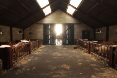 Knor_st_6_jpg_sd-low